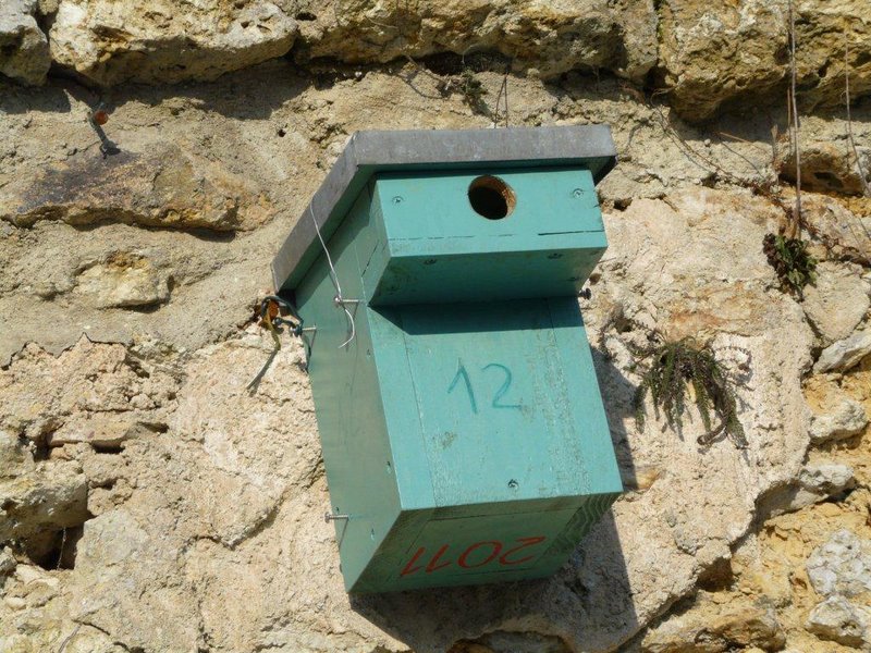 Février 2012 Atelier rencontre au PdH 17